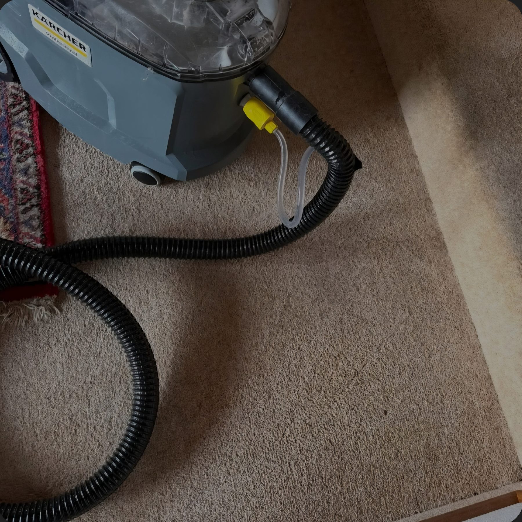 After carpet stain removal