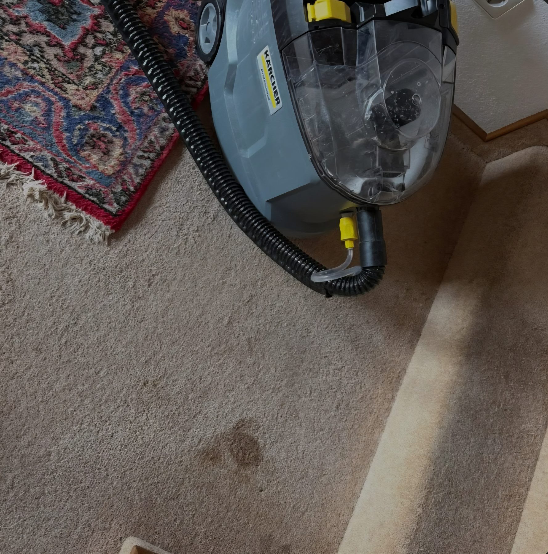 Before carpet stain removal