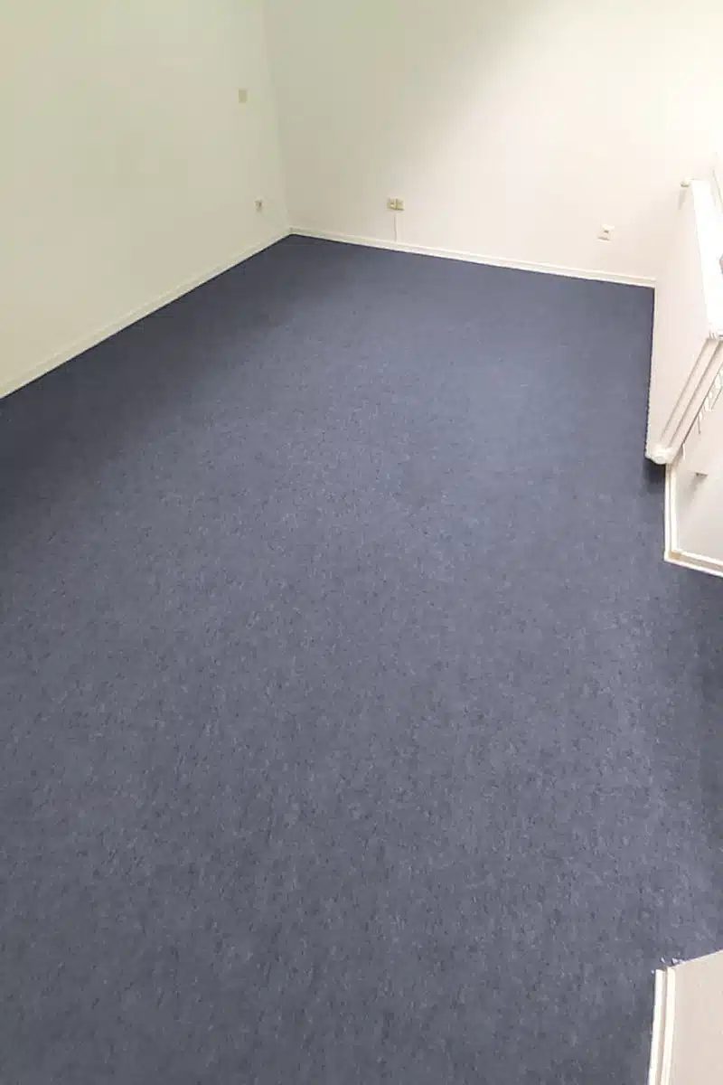 Room carpet after cleaning