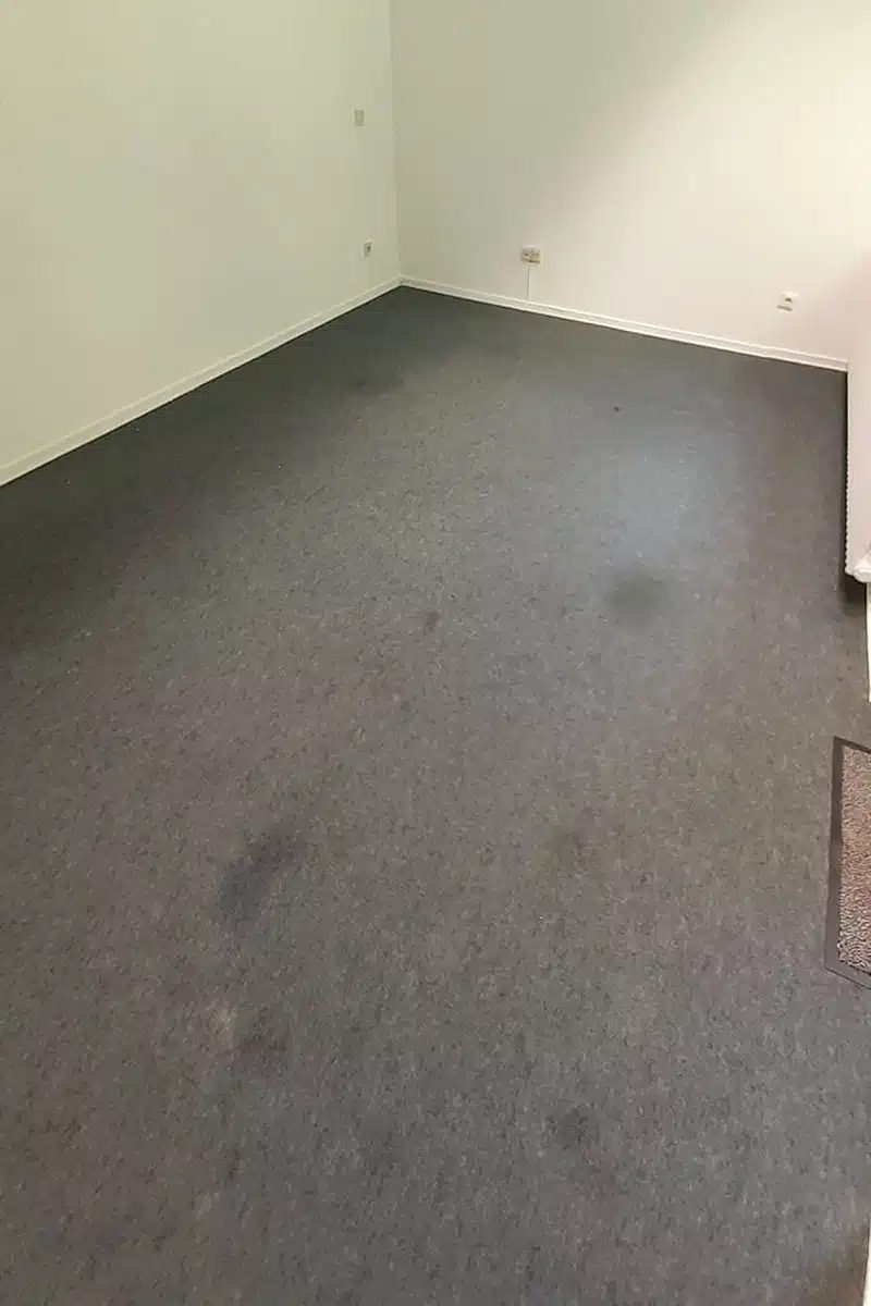 Room carpet before cleaning