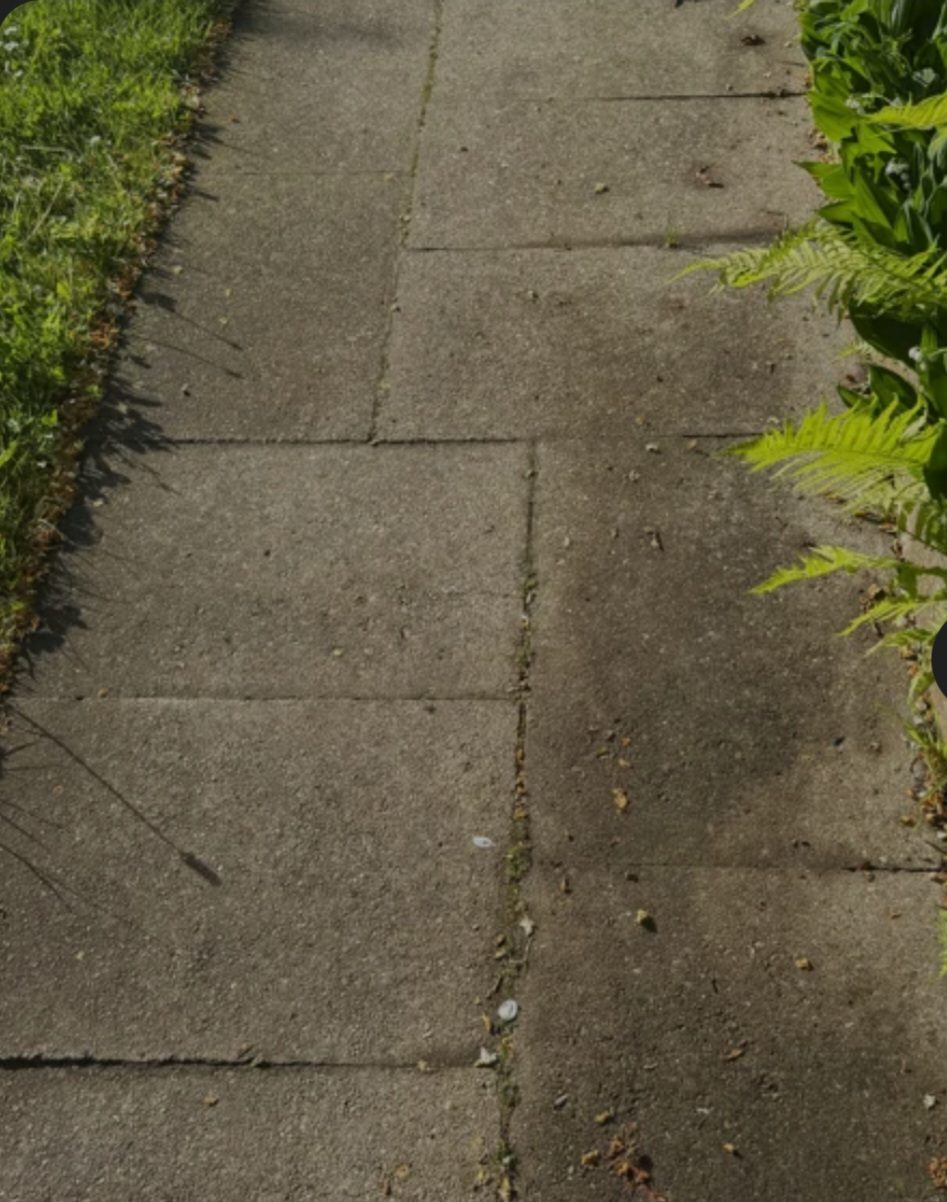Garden pathway before cleaning